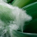 Jason Whiteley Photo 34