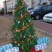 Carol Humphreys Photo 8
