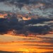 John Baize Photo 11