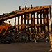 Steven Rost Photo 6