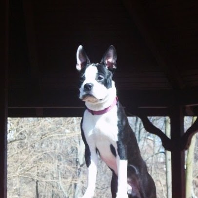 April Blankenship Photo 15