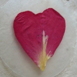 Deb Gauthier Photo 19