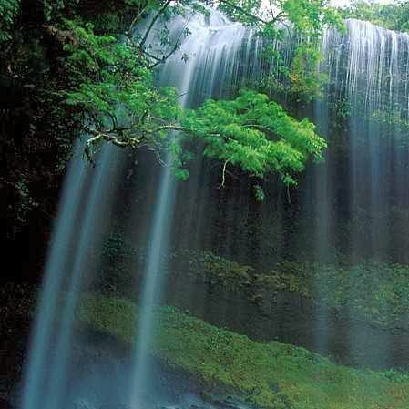 Mohamed Hamid Photo 36