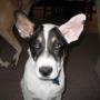 Sue Belcher Photo 19