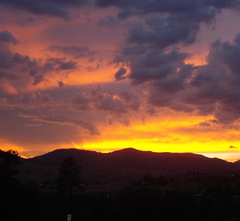 Brenda Condon Photo 6