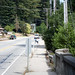 Elizabeth Herrington Photo 24