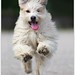 Mark Chien Photo 18
