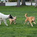 Kelly Wilcox Photo 29