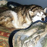 Anne Conley Photo 19