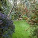 Anne Comstock Photo 8