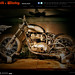 John Balcom Photo 7