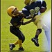 Glen Warner Photo 11