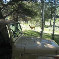 Cindy Hutcheson Photo 12