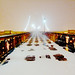 Karen Snow Photo 15