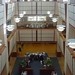 Warren Atkins Photo 23
