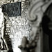 David Tocco Photo 6