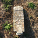 Bethany King Photo 22