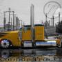 Stephen Guy Photo 28