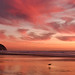 Dorian Cole Photo 10