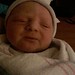 Elizabeth Hulbert Photo 4