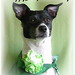 Lucy Patrick Photo 12