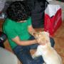 Gabriel Gomez Photo 13