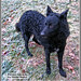 Julie Breed Photo 7