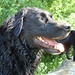 Jessie Bear Photo 17