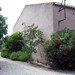 Vicki Vines Photo 16