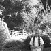 Michael Knighten Photo 18