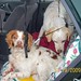 Timothy Hope Photo 9