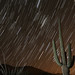 Randy Tuttle Photo 27