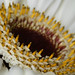 Janet Harper Photo 25