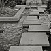 Lawrence Strauss Photo 25