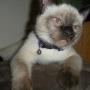 Claudia Servin Photo 13