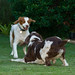 Stanley Archie Photo 4