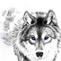 Annette Wolfe Photo 8