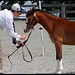 Kathleen Hand Photo 24