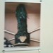 Cody Reeder Photo 29