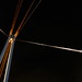Adam Muniz Photo 12
