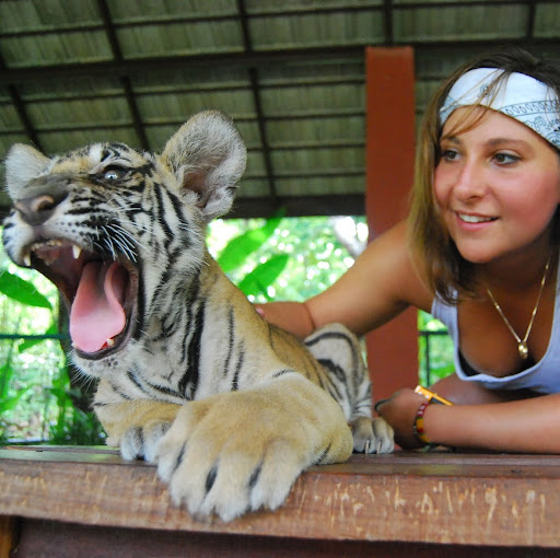 Ashley Kenyon Photo 8