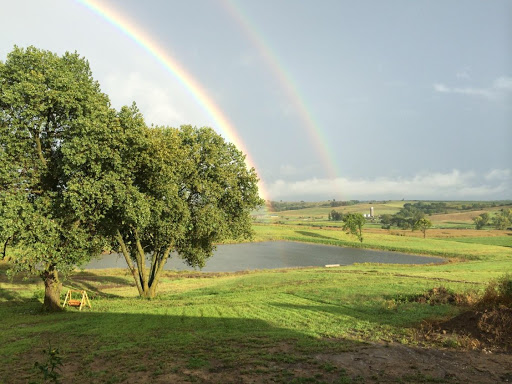 David Robinette Photo 34