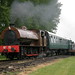 David Earl Photo 14