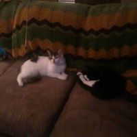 Ann Lytle Photo 9