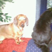 Kathy Potts Photo 24