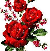 Mohammed Sarwar Photo 8