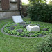 Dorothy Goodman Photo 13