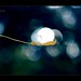 Ping Sun Photo 13