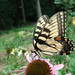 Maryann Robinson Photo 5