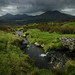 Sally Marsh Photo 41
